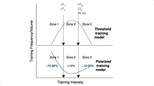 בשיטת האימון הקוטבי (Polarized Training) שלושה טווחי אימון בלבד